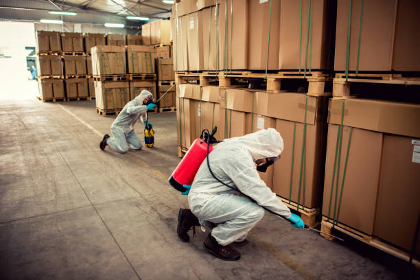 Best Emergency Pest Control  in Deland Southwest, FL
