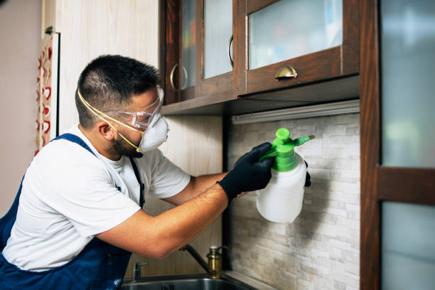 Trusted Deland Southwest, FL Pest Control Experts