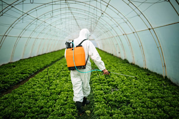 Best Pest Prevention Services  in Deland Southwest, FL