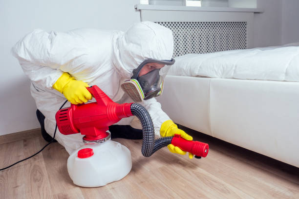 Best Exterminator Services  in Deland Southwest, FL