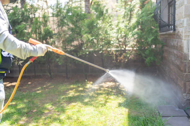 Reliable Deland Southwest, FL Pest Control Solutions