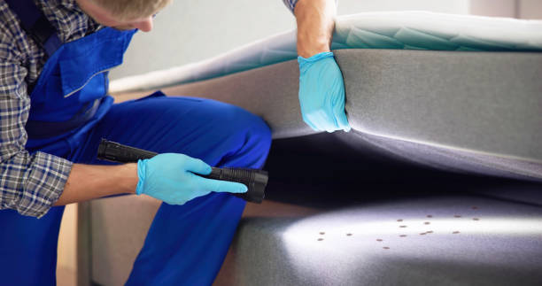 Best Local Pest Control Services  in Deland Southwest, FL