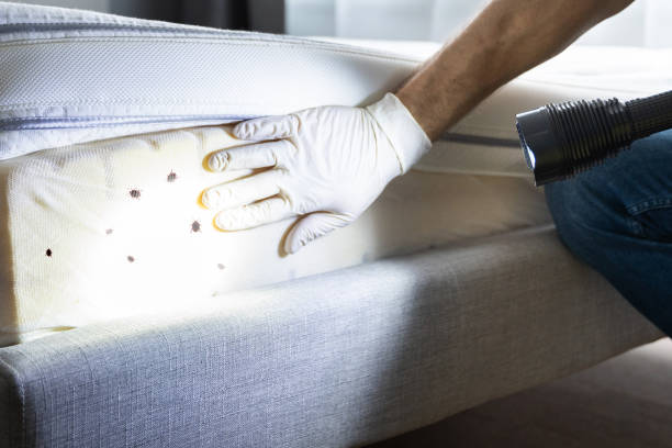 Best Residential Pest Control  in Deland Southwest, FL