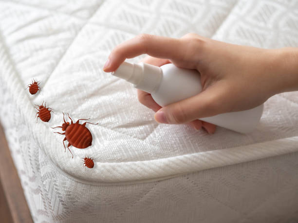 Deland Southwest, FL Pest Control Company