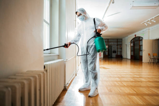 Best Rat Extermination Near Me  in Deland Southwest, FL