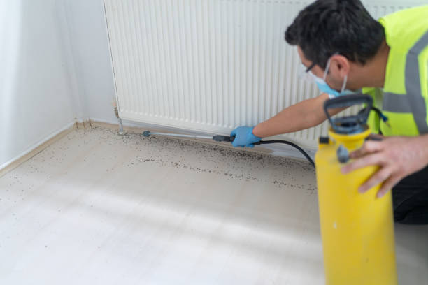 Best Residential Pest Control  in Deland Southwest, FL