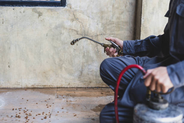 Best Pest Control Near Me in Deland Southwest, FL