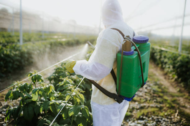 Best Pest Removal Services  in Deland Southwest, FL